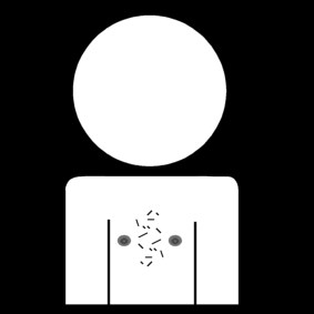 chest